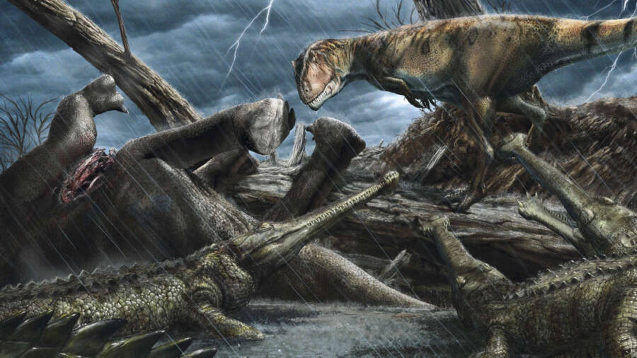 Carcharodontosaurus And Elosuchus Illustration