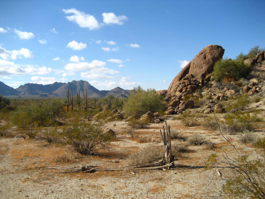 Sonoran Desert
