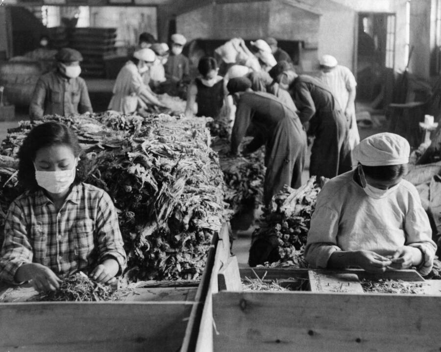Tobacco Rollers In Manchuria