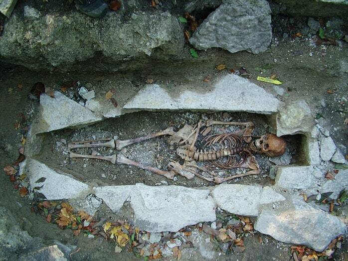 Ancient Viking Skeleton
