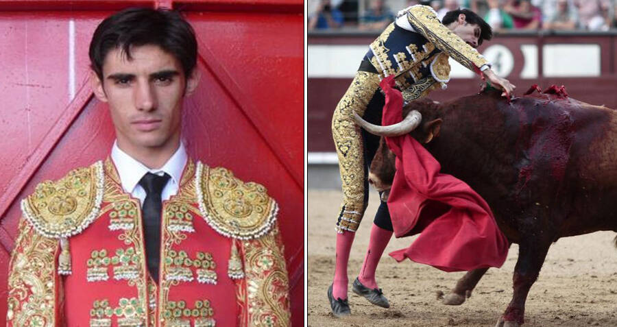 The Death Of Víctor Barrio, The Matador Gored On National Television