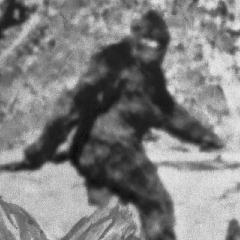 Bigfoot Up Close