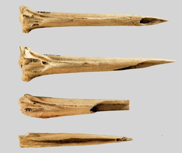 Ancient Tattoo Needles