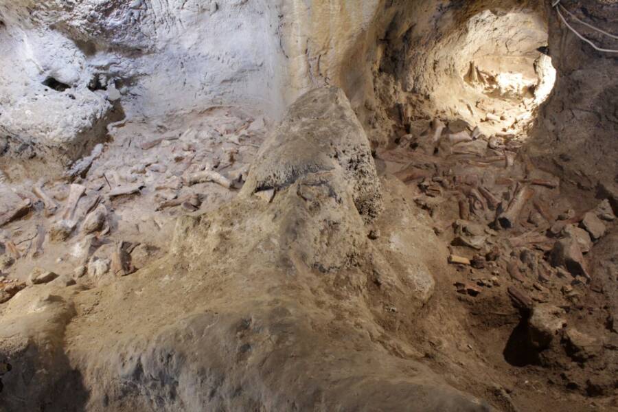 Inside Guattari Cave