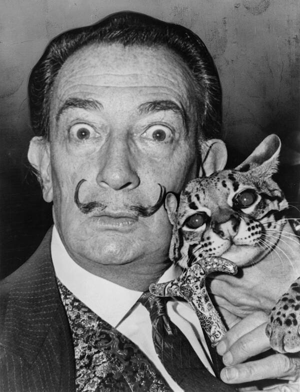 Salvador Dali And Cat