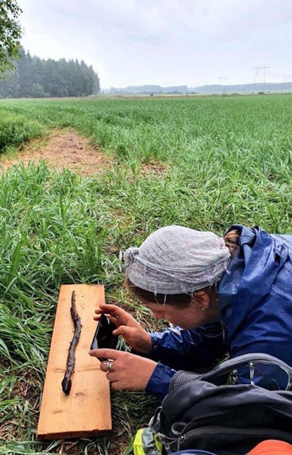 Järvensuo Snake Staff Being Photographed