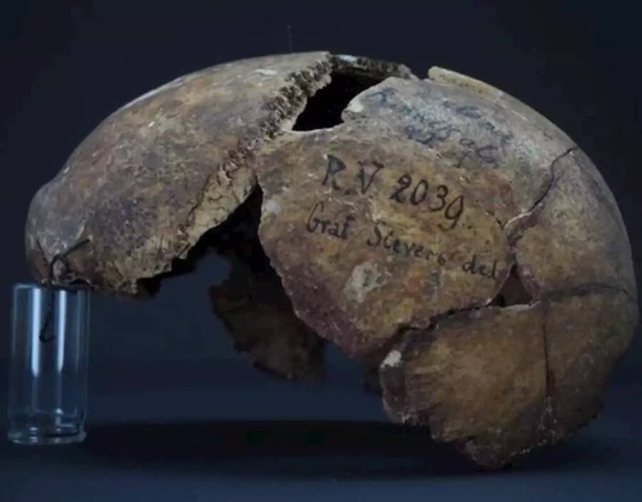Rv 2039 Skull