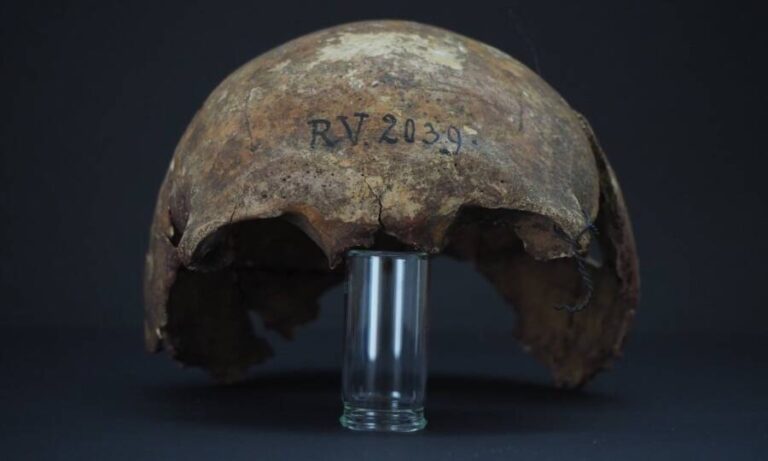 Scientists Find The World's First Known Plague Victim