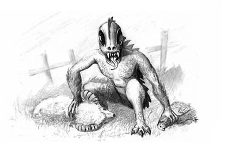 Chupacabra Illustration