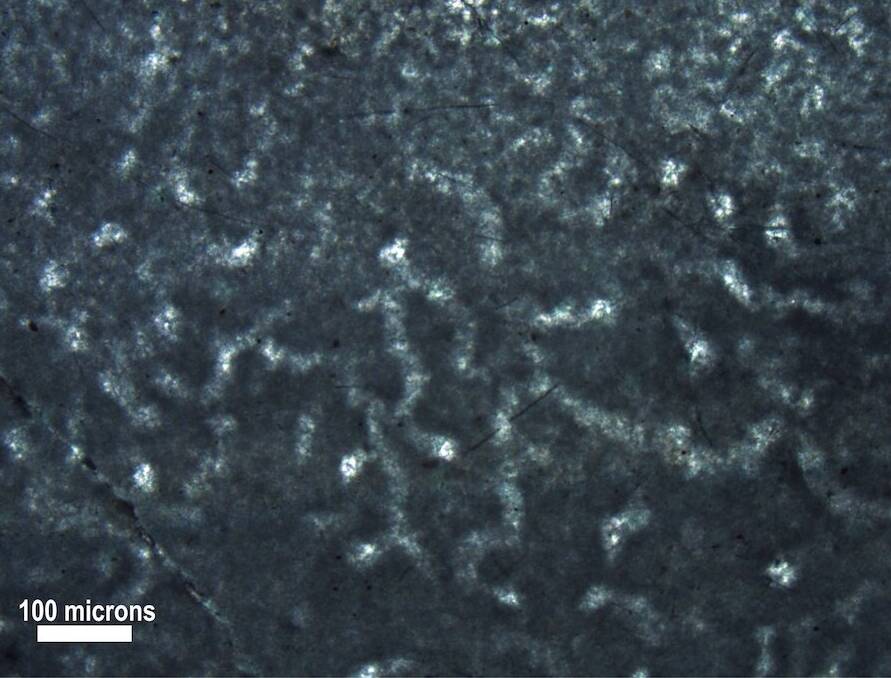 Possible Oldest Sponge Fossil