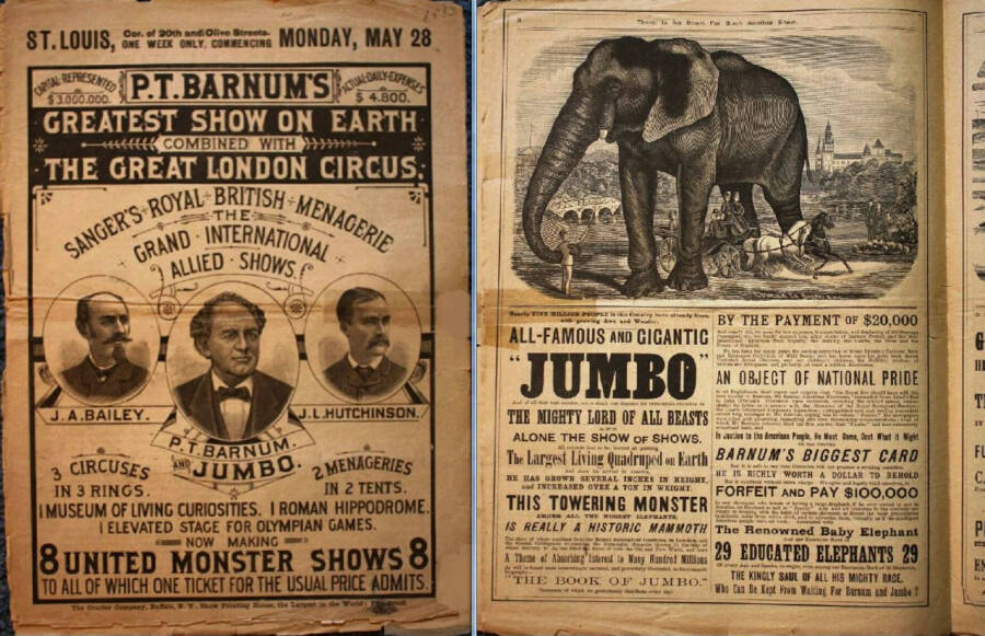 Circus Flyer For The Greatest Show on Earth