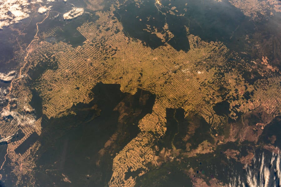 Amazon Rainforest Satellite View