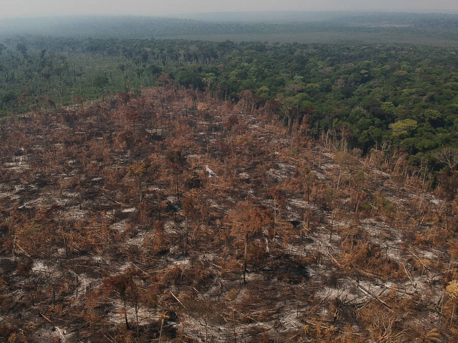 Deforestation In Apui