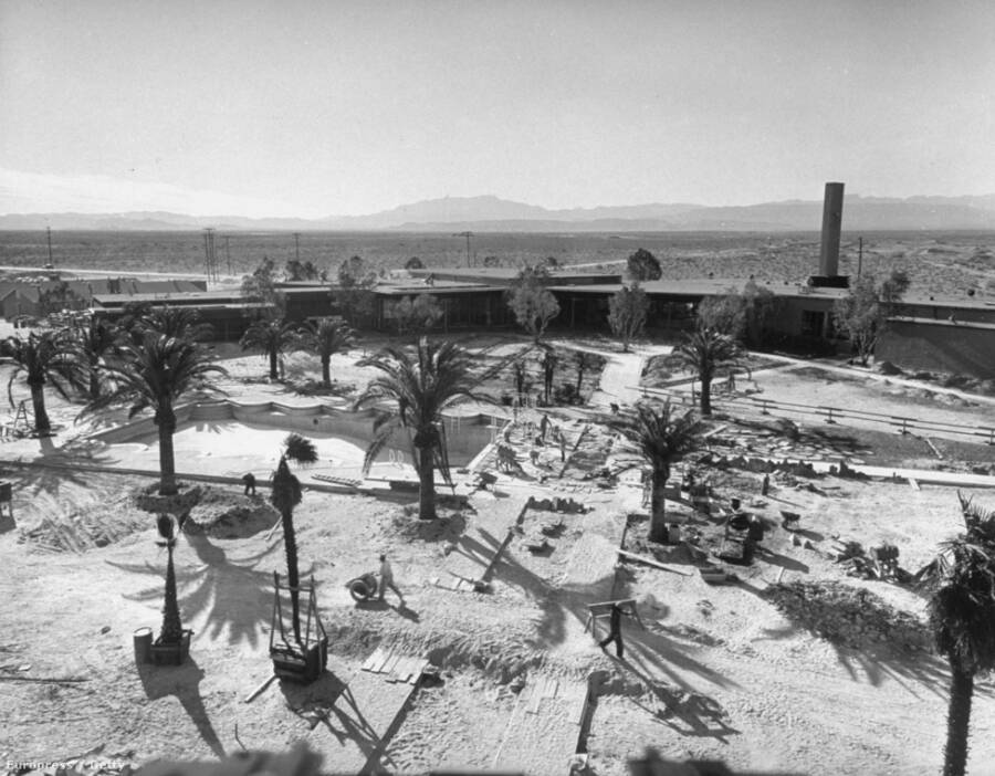 The Flamingo Hotel And Casino