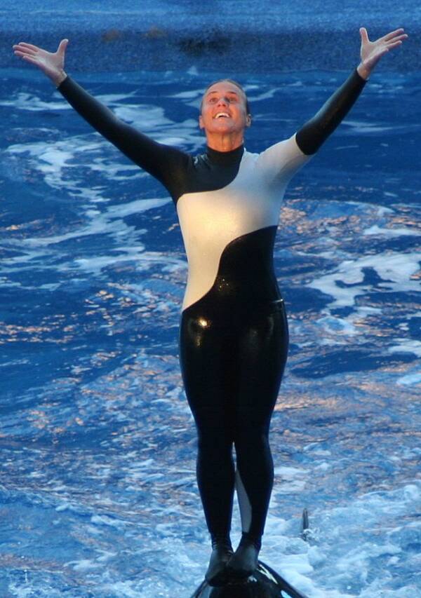 Dawn Brancheau, The SeaWorld Trainer Killed By A Killer Whale