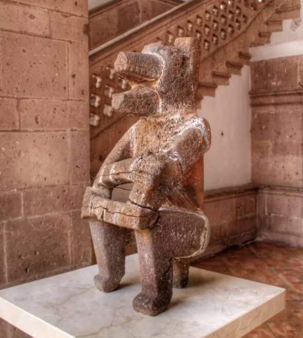 Tacambaro Coyote On Display