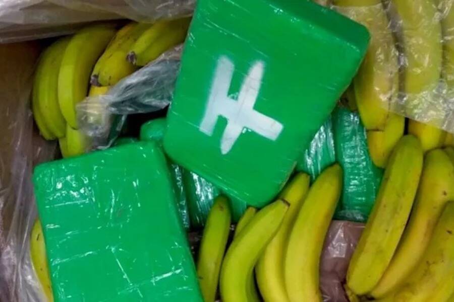 Cocaine Bricks And Bananas