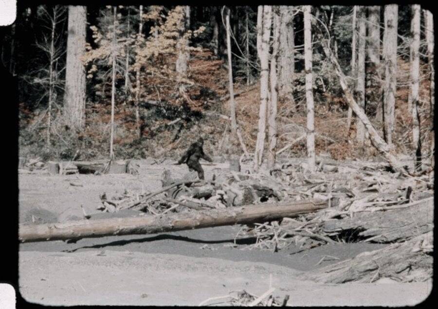 Bigfoot Still