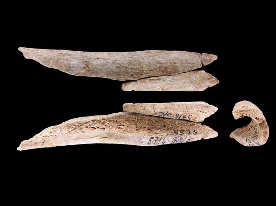 Stone Age Jewelry