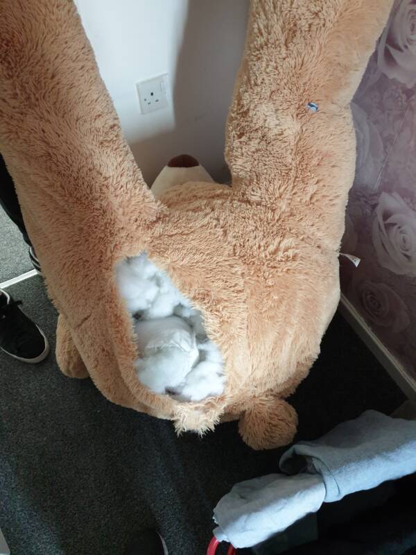 Teddy Bear With Hole