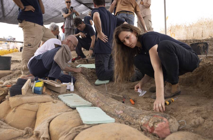 Redavim Archaeological Team