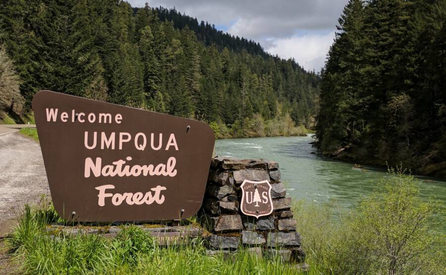 Umpqua National Forest
