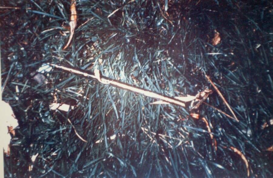 Golf Club Used To Kill Moxley