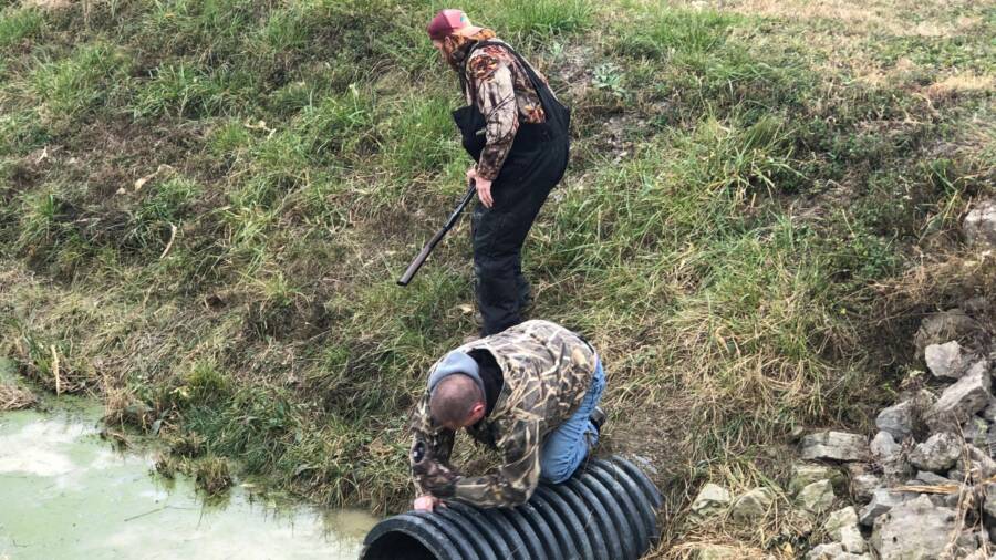 Hunting The Minks In Ohio