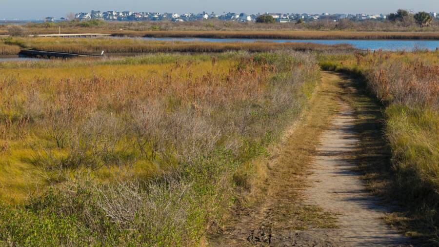 Inside The Texas Killing Fields And Their BloodSoaked History