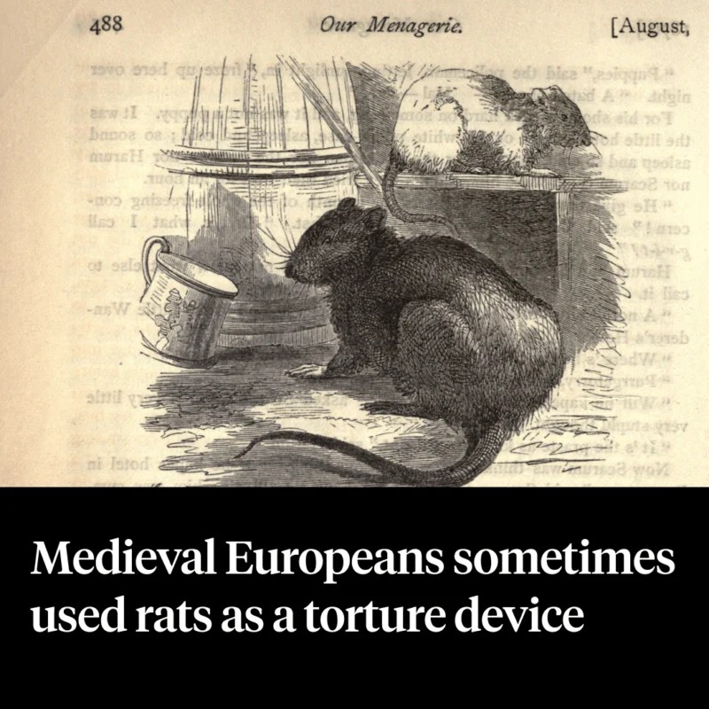 37 Astounding Medieval Facts About Life In The Middle Ages