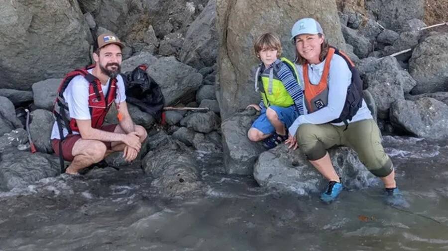 Whale Skull Discovery