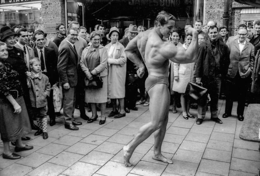 Young Arnold Schwarzenegger