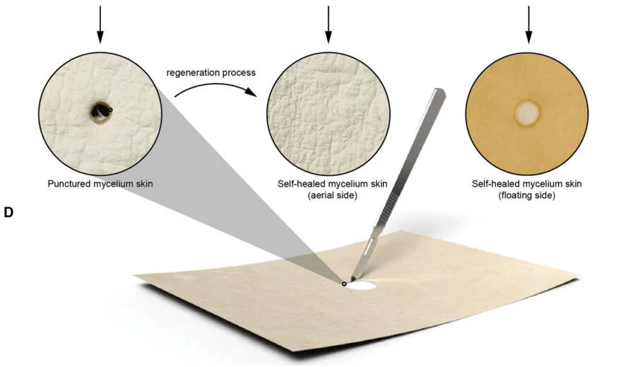 Graphic Of Self Repairing Materials