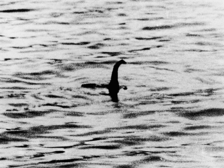 Loch Ness Monster Photograph