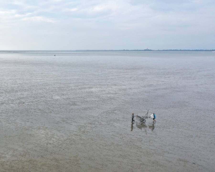 Mudflats In Wadden Sea