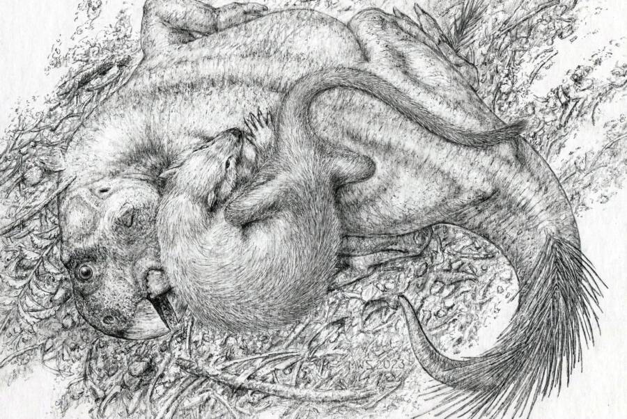 Depiction Of The Final Fight