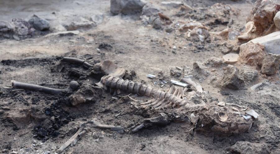 Bronze Age Remains