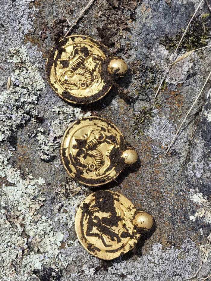 Norwegian Gold Coins