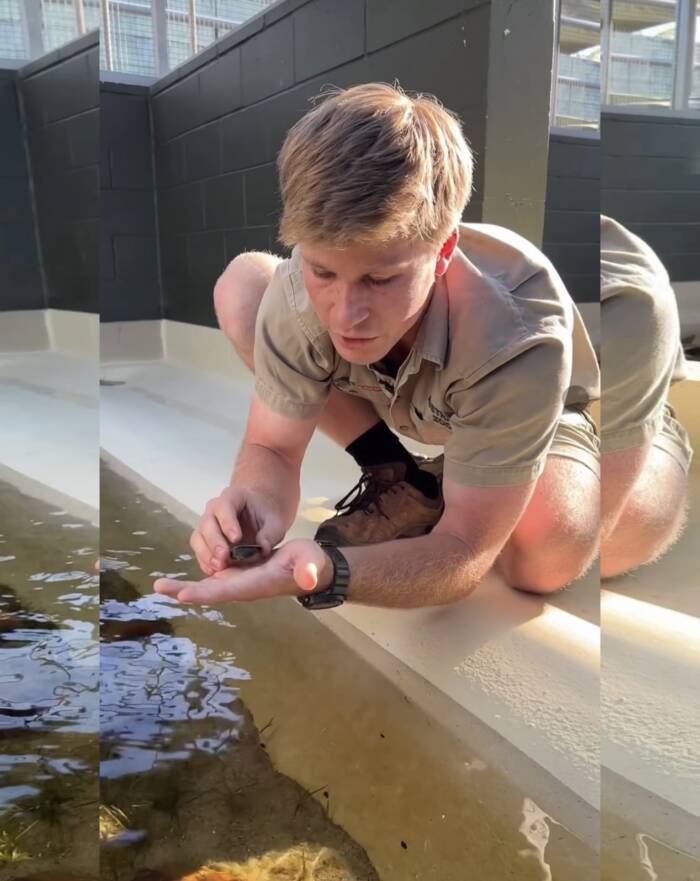 Irwin&rsquo;s Turtle