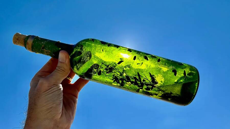 Most Recent Witch Bottle