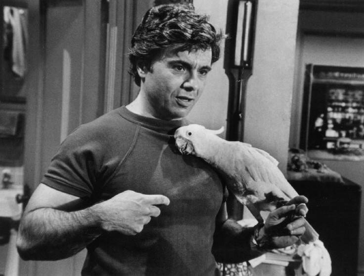 Robert Blake As Baretta