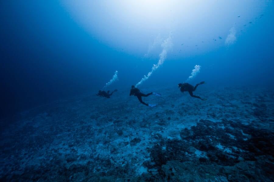 Scuba Diving In French Polynesia