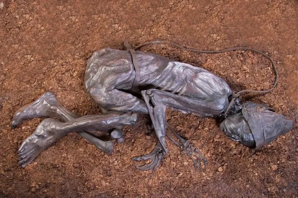 Tollund Man Remains