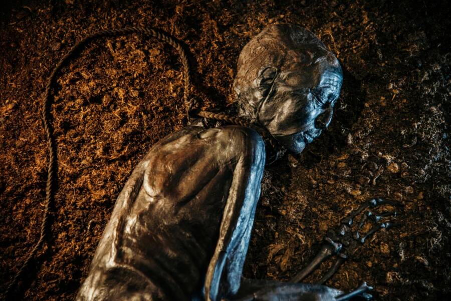 Tollund Man