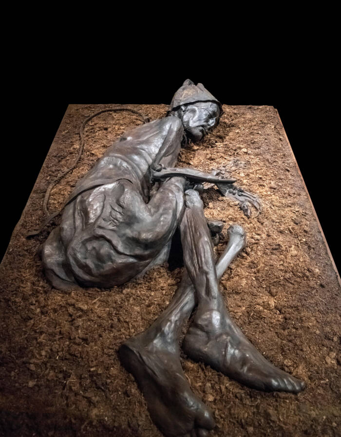 The Tollund Man Bog Body