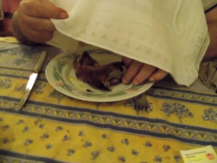 Diner Eating Covered By A Napkin