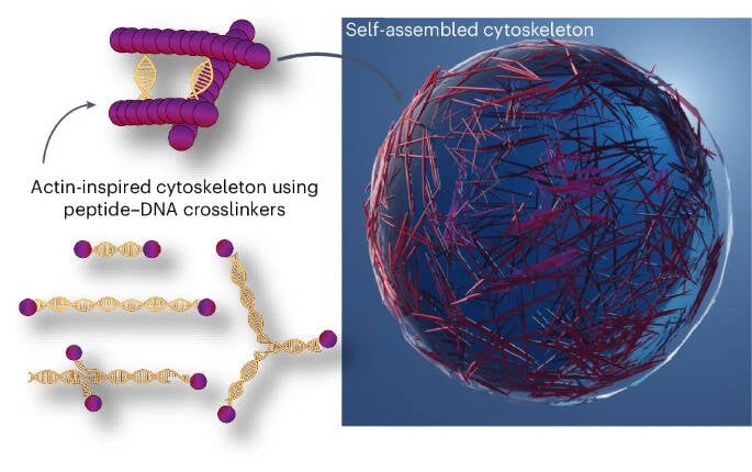 Artificial Human Cells