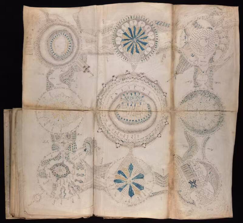 Voynich Manuscript Rosettes