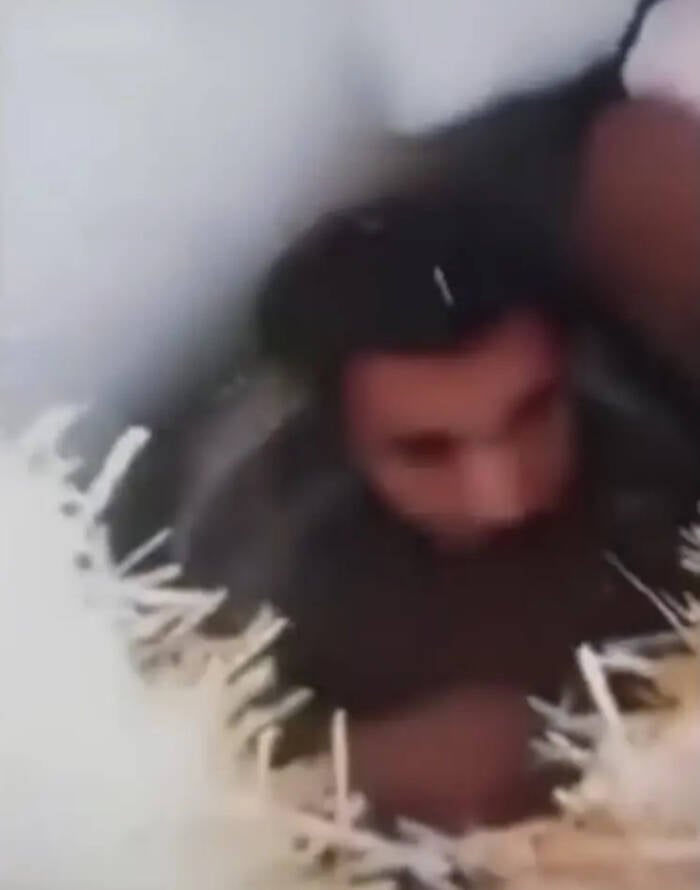 Discovery Of Omar Bin Omran