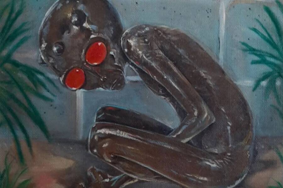 Varginha UFO Incident